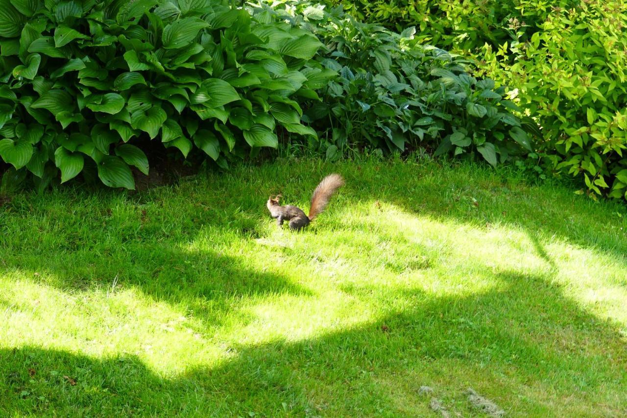 Ferienwohnungen Familie Wetzlinger Bad Kleinkirchheim Exteriör bild